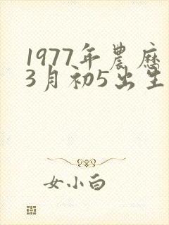 1977年农历3月初5出生命运封面