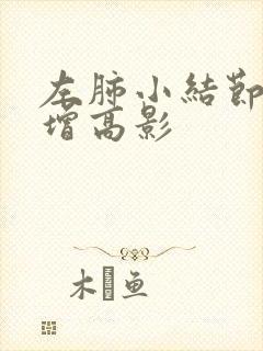 左肺小结节密度增高影