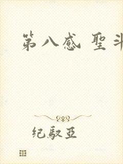 第八感 圣斗士