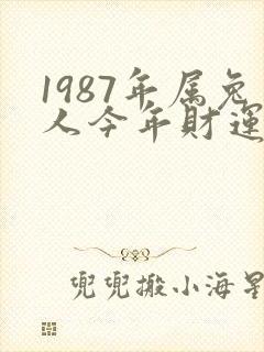 1987年属兔人今年财运好不好