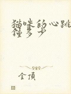 猫咪的心跳每分钟多少封面