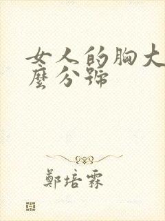 女人的胸大小怎么分号