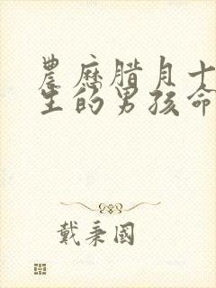 农历腊月十七出生的男孩命运