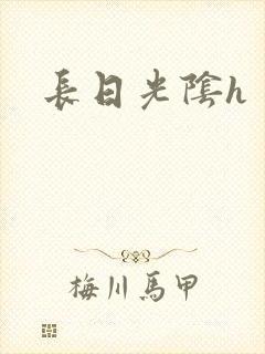 长日光阴h封面