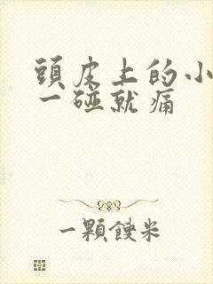 头皮上的小疙瘩一碰就痛