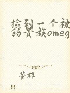 捡到一个被抹布的贵族omega