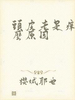 头皮老是痒是什么原因