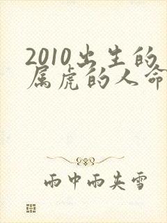 2010出生的属虎的人命运封面
