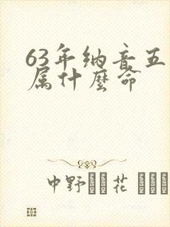 63年纳音五行属什么命