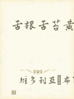 舌根舌苔黄厚腻封面