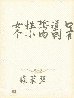 女性阴道口有一个小肉刺有点样