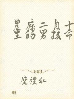 农历二月十一出生的男孩命运封面