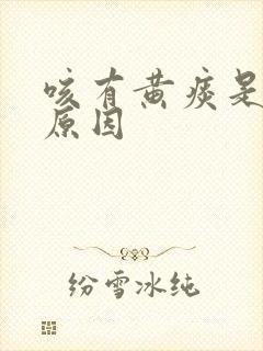 咳有黄痰是什么原因