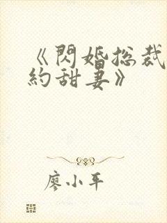 《闪婚总裁的契约甜妻》