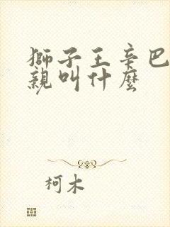 狮子王辛巴的父亲叫什么封面