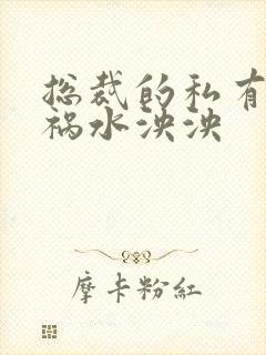 总裁的私有宝贝祸水泱泱