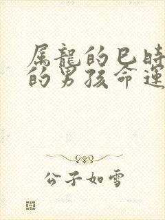 属龙的巳时出生的男孩命运