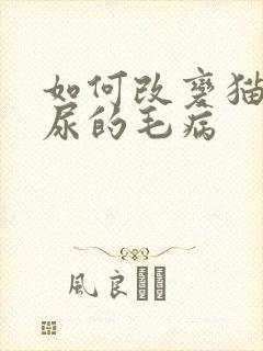 如何改变猫咪乱尿的毛病