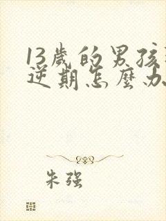 13岁的男孩叛逆期怎么办