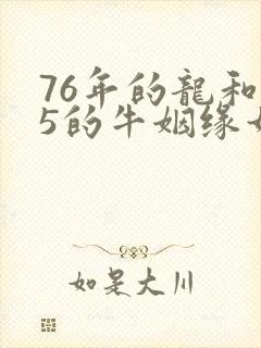 76年的龙和85的牛姻缘如何封面