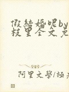 假结婚呢by一枝里全文免费阅读