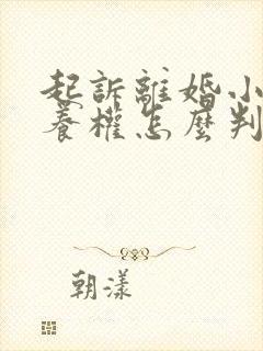 起诉离婚小孩抚养权怎么判