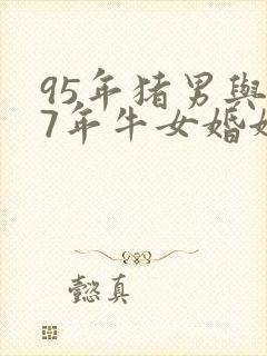 95年猪男与97年牛女婚姻配吗