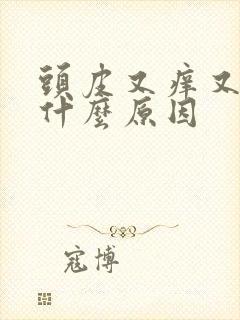 头皮又痒又油是什么原因封面