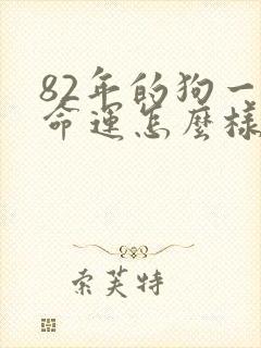 82年的狗一生命运怎么样封面