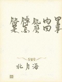 胳膊肌肉里面疼是怎么回事