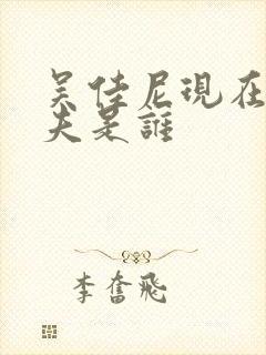 吴佳尼现在的丈夫是谁