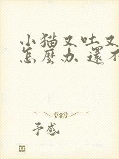 小猫又吐又拉稀怎么办 还不吃东西封面