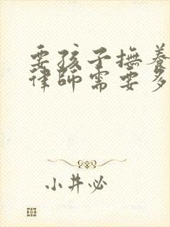 要孩子抚养权请律师需要多少钱