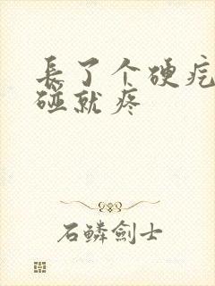 长了个硬疙瘩一碰就疼封面