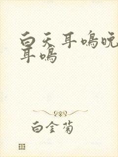 白天耳鸣晚上不耳鸣