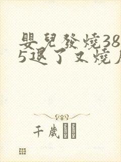 婴儿发烧38.5退了又烧反复封面