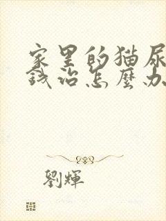 家里的猫尿闭没钱治怎么办