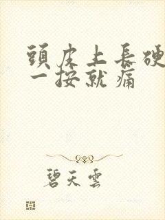 头皮上长硬疙瘩一按就痛