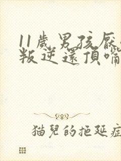 11岁男孩厌学叛逆还顶嘴怎么办