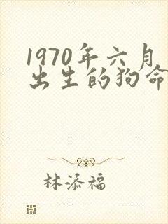 1970年六月出生的狗命运如何