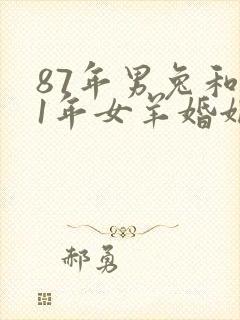 87年男兔和91年女羊婚姻相配吗