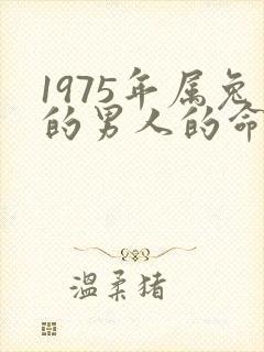 1975年属兔的男人的命运怎么样