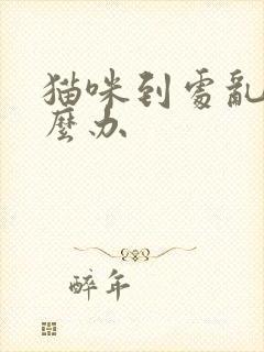 猫咪到处乱尿怎么办