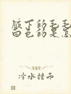 腋下的毛毛上有白色的是怎么回事封面