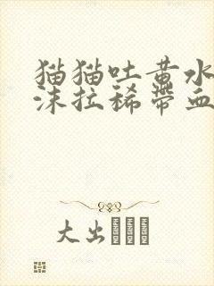 猫猫吐黄水带泡沫拉稀带血