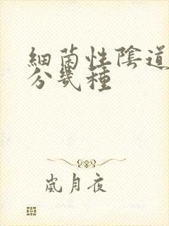 细菌性阴道发炎分几种