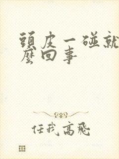 头皮一碰就疼怎么回事