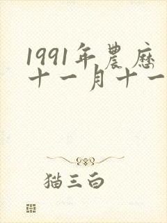 1991年农历十一月十一是什么命