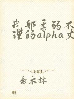 我那柔弱不能自理的alpha丈夫笔趣阁