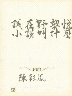 钱在野黎悦原著小说叫什么名字